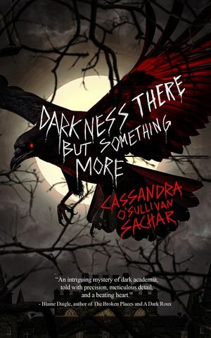 Darkness There but Something More: A Dark Suspense Novel image number 0