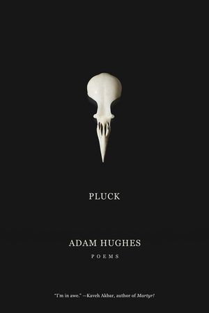 Pluck image number 0