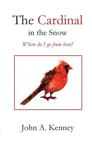 The Cardinal in the Snow image number 0