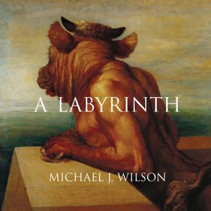A Labyrinth image number 0