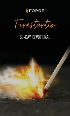 Fire Starter image number 0