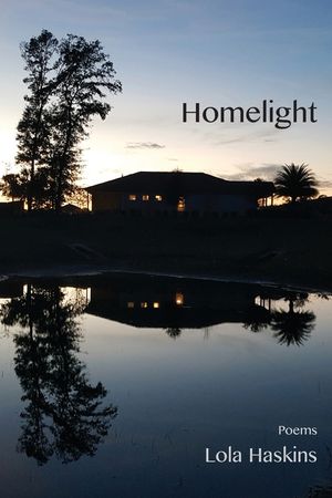 Homelight image number 0