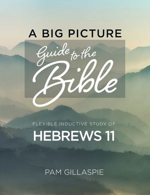 Hebrews 11: A Big Picture Guide to the Bible image number 0