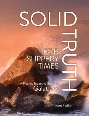 Solid Truth for Slippery Times: A Flexible Inductive Study of Galatians image number 0