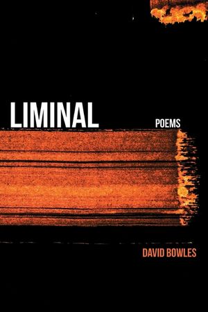 Liminal image number 0