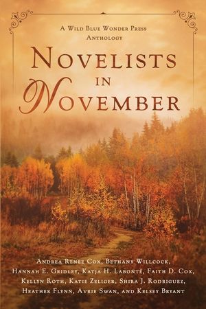 Novelists in November: a Wild Blue Wonder Press anthology image number 0