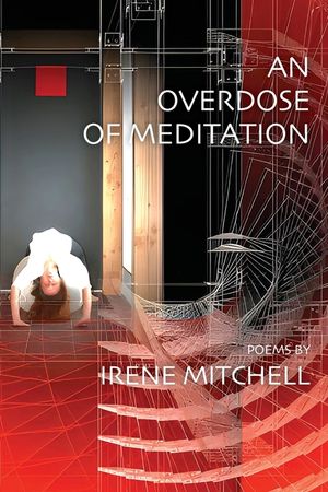 An Overdose of Meditation image number 0