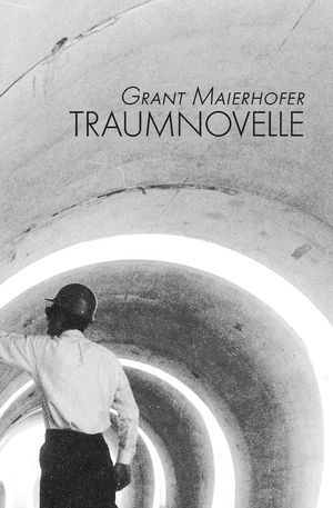 Traumnovelle image number 0