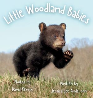 Little Woodland Babies image number 0