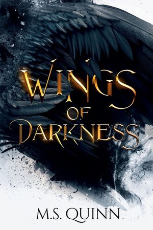 Wings of Darkness image number 0