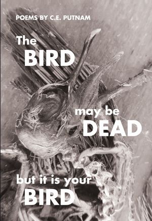 The Bird May Be Dead But It Is Your Bird image number 0