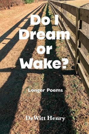Do I Dream Or Wake? image number 0