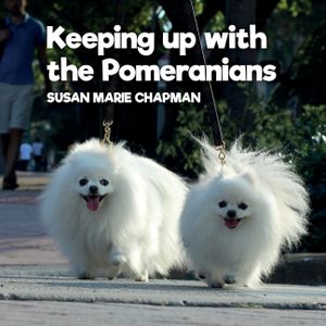 Keeping Up With The Pomeranians image number 0