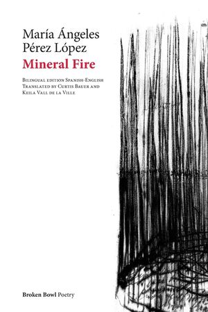 Mineral Fire: Incendio Mineral image number 0