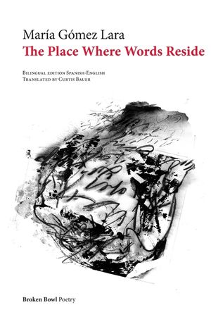 The Place Where Words Reside image number 0