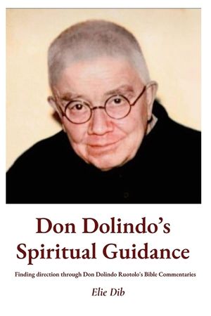 Don Dolindo's Spiritual Guidance: Finding direction through Don Dolindo Ruotolo's Bible Commentaries image number 0