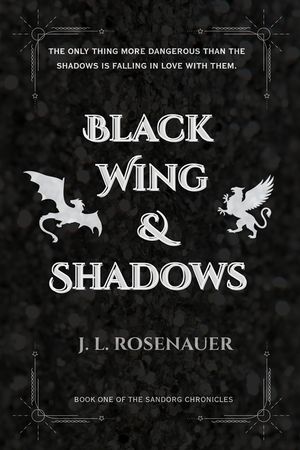 Black Wing and Shadows: Book One of the Sandorg Chronicles image number 0