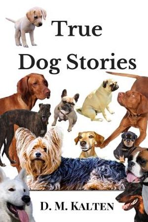 True Dog Stories: Short Stories from Days Gone By image number 0