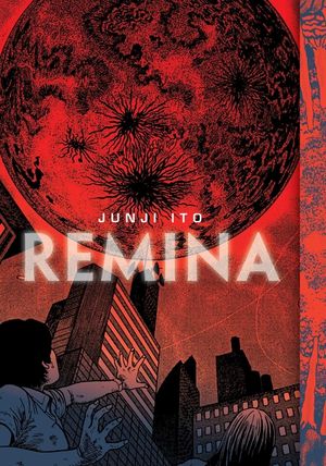 Remina image number 0