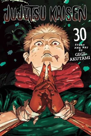 Jujutsu Kaisen, Vol. 30 image number 0