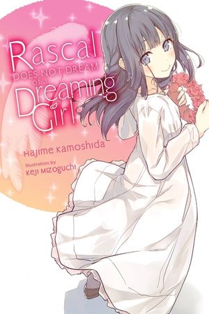 Rascal Does Not Dream of a Dreaming Girl (Light Novel) image number 0