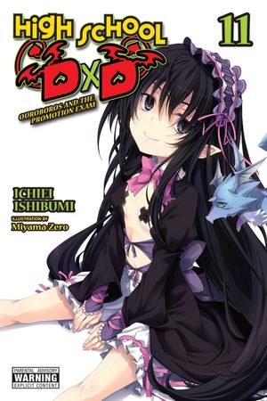 High School DXD, Vol. 11 (Light Novel) image number 0