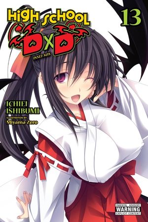 High School DXD, Vol. 13 (Light Novel) image number 0