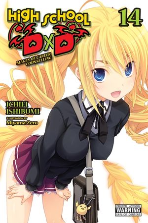 High School DXD, Vol. 14 (Light Novel) image number 0