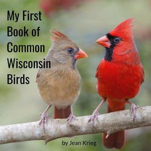 My First Book of Common Wisconsin Birds image number 0