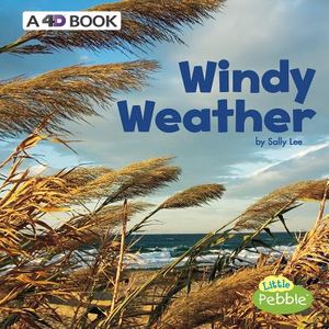 Windy Weather: A 4D Book image number 0