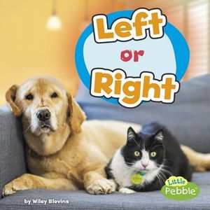 Left or Right image number 0