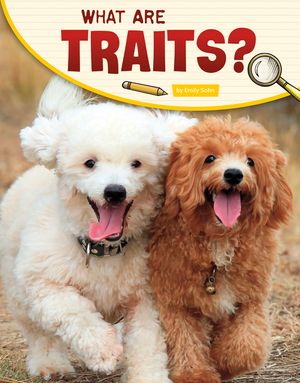 What Are Traits? image number 0
