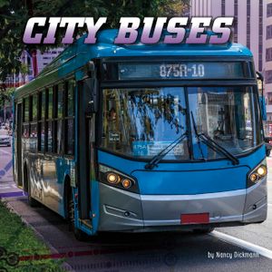 City Buses image number 0