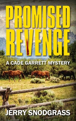 Promised Revenge: A Cade Garrett Mystery image number 0