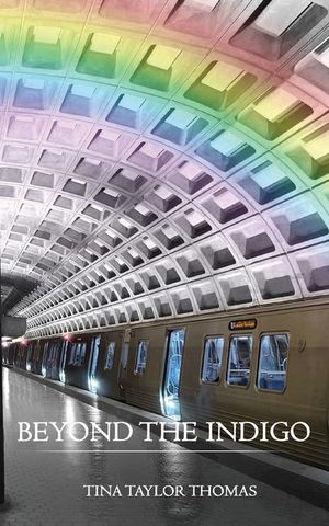 Beyond the Indigo image number 0