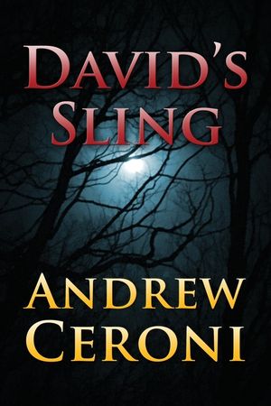 David's Sling image number 0