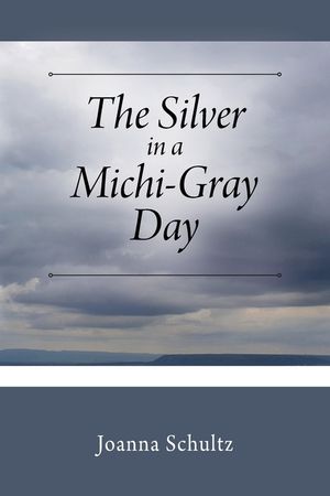The Silver in a Michi-Gray Day image number 0