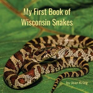My First Book of Wisconsin Snakes image number 0