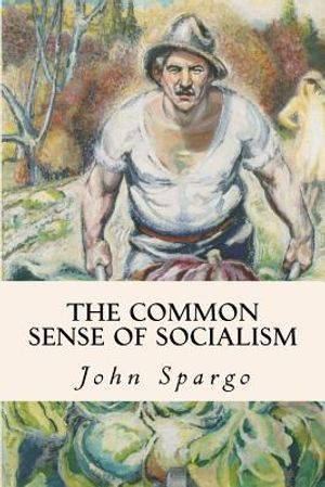 The Common Sense of Socialism image number 0