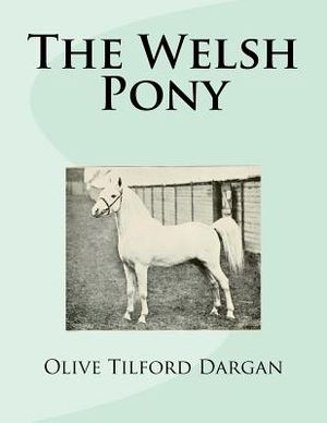 The Welsh Pony image number 0