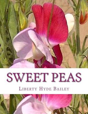 Sweet Peas image number 0