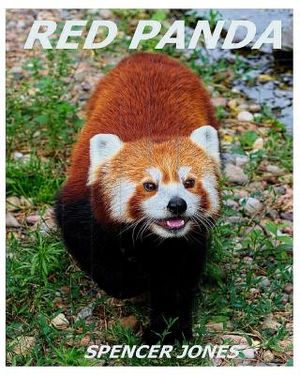 Red Panda: Learn About Red Pandas-Amazing Pictures & Fun Facts image number 0