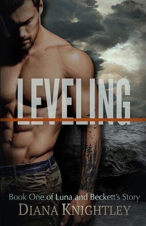 Leveling image number 0