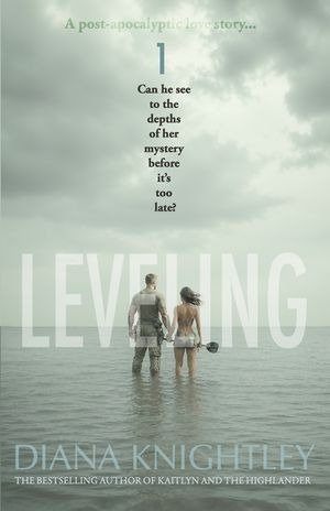 Leveling image number 0