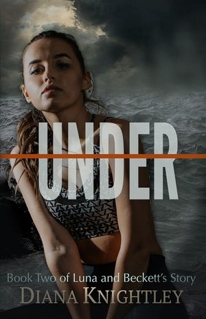 Under image number 0