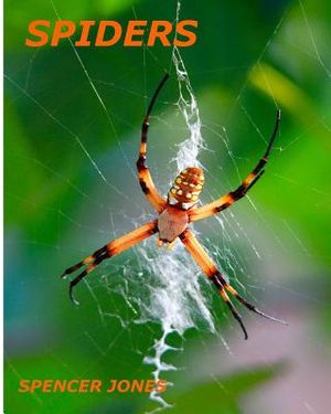 Spiders: Fun Facts & Amazing Pictures - Learn About Snakes image number 0