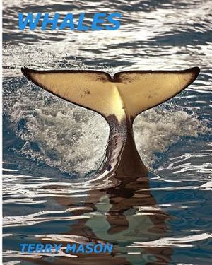 Whales: Whale Facts for Kids, Whales Gentle Giants of the Sea image number 0