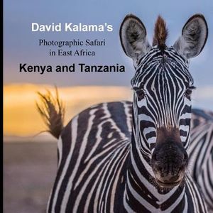 David Kalama's Photographic Safari in East Africa: Kenya and Tanzania image number 0