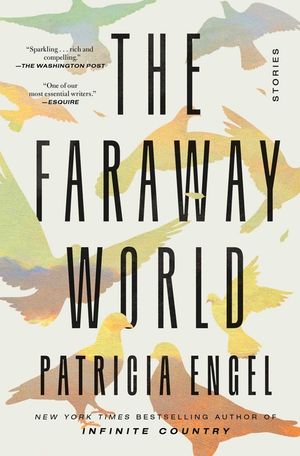The Faraway World: Stories image number 0