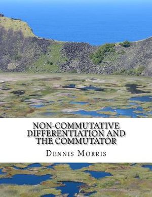 Non-commutative Differentiation and the Commutator: The Search for the Fermion Content of the Universe image number 0
